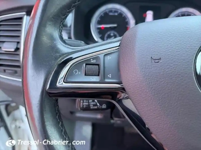 Skoda Kodiaq 2.0 tdi 150 scr dsg7 4x4 7pl style — photo 19