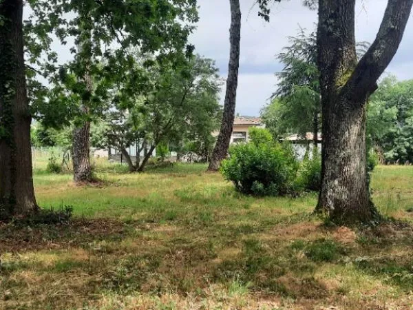 Terrain 1000 m²