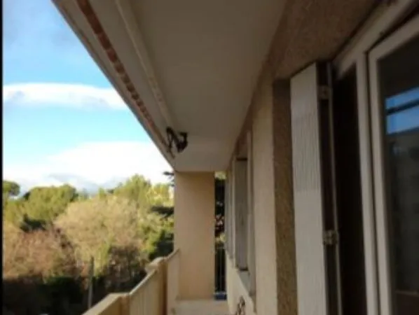 5 pieces + Balcon + cave Quartier Arceaux