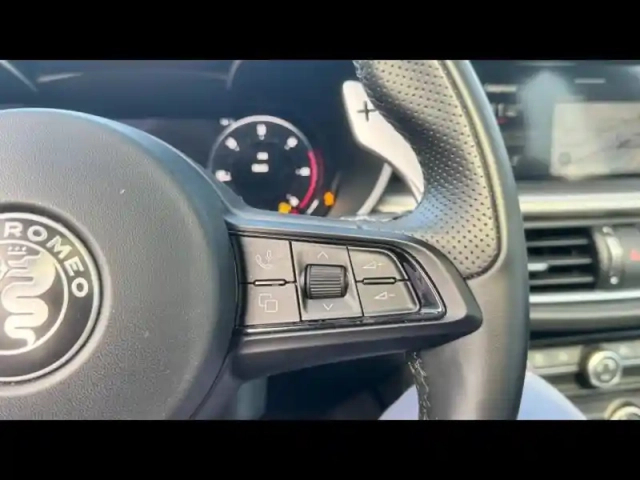 Alfa Romeo Stelvio 2.2 diesel 160ch sprint at8 my22 — photo 28