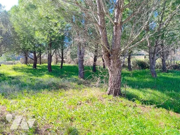 Terrain 440 m²