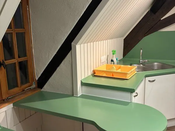 T2 MEUBLÉ 64 m² - COLMAR CENTRE - 700 + CHARGES - CHAUFFAGE COMPRIS