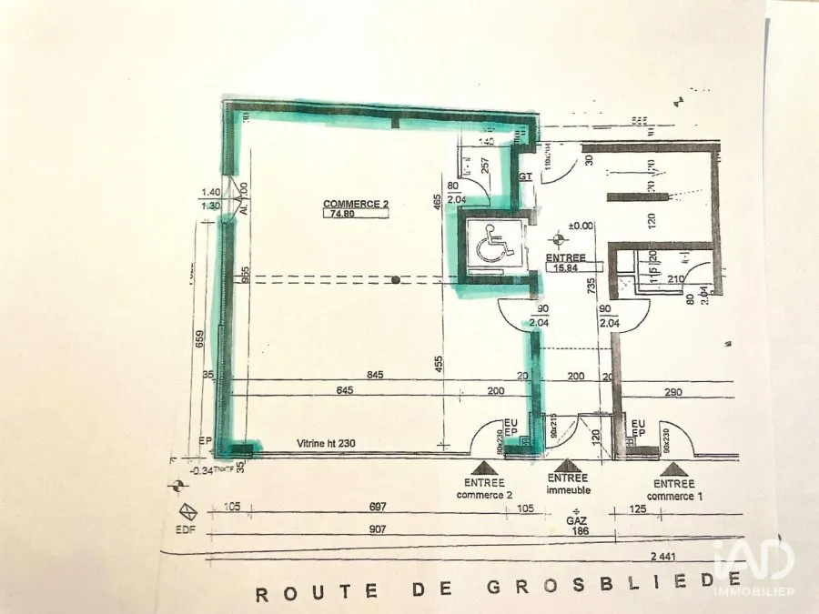 Photo 5