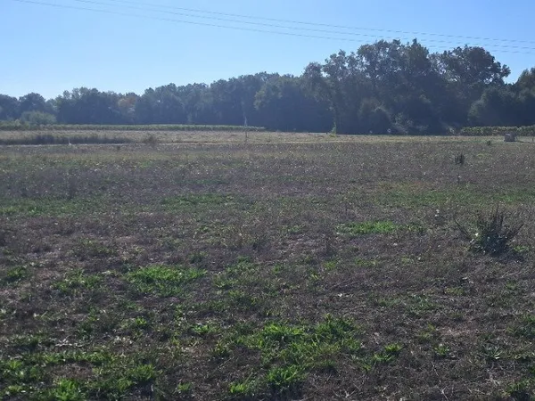 Terrain 1471 m²