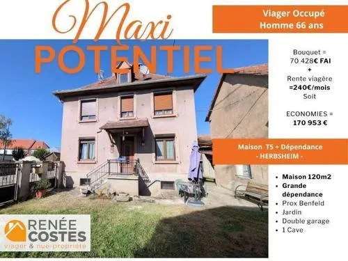 Viager occupé - H66 ans - HERBSHEIM (67230)