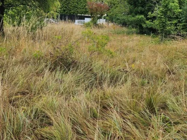 Terrain à bâtir de 233 m² à CHAMPIGNY-SUR-MARNE (94)