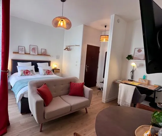 STUDIO MEUBLE RENOVÉ 24,63 m² + CAVE HYPERCENTRE DE TROYES