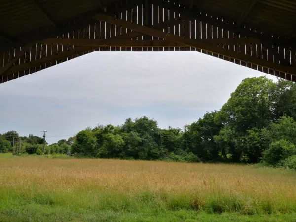 Corps de ferme plein de charme à rénover sur 2.6 hectares Proche du Lac de Kerne Huel 18 km au nord 