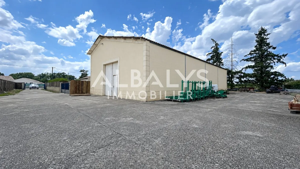 Photo 1