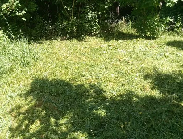 Vds petit terrain de peche