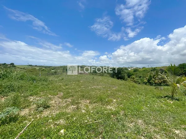 Terrain 779 m²