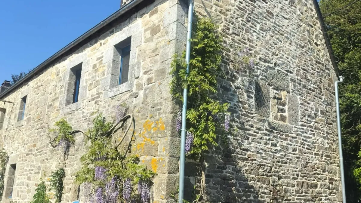 Photo 14