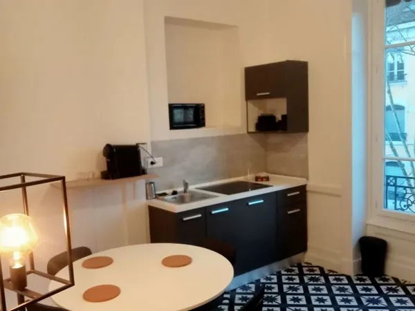 grand appartement meublé refait à neuf Place de Paris Lyon 9