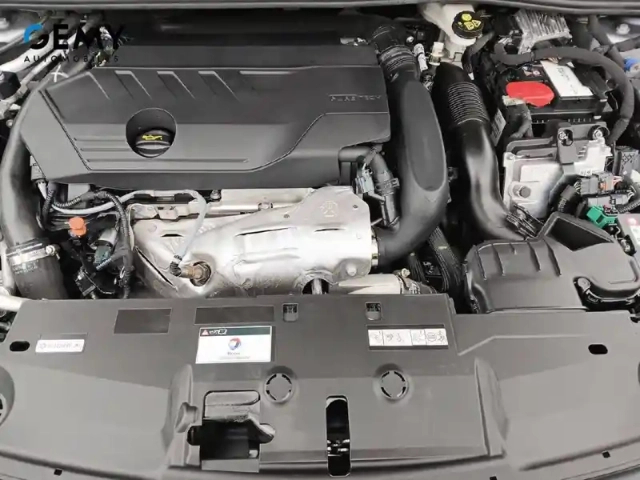 Peugeot 308 sw phev 180 e-eat8 — photo 12