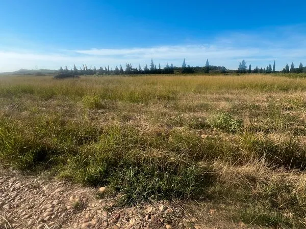 Échange, Terrain