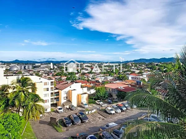 Appartement T2, spacieuse terrasse, vue dégagée