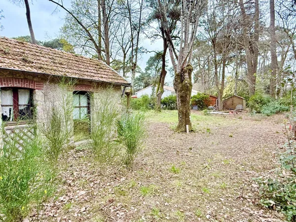 Terrain 978 m²