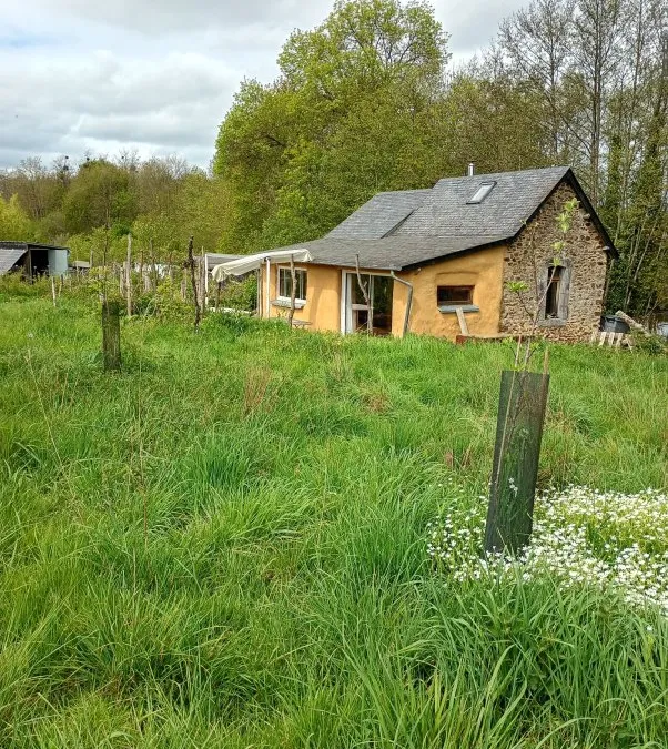Photo 5