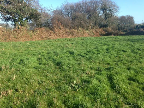 Terrain 340 m²