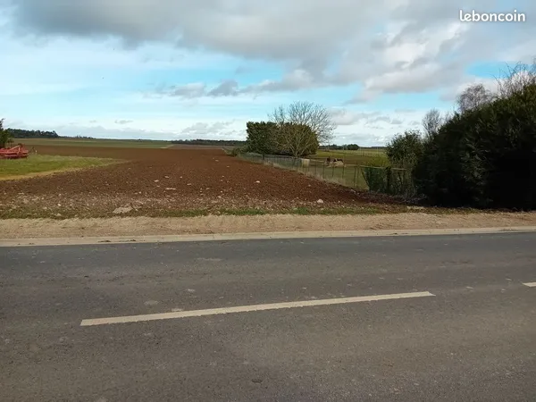 Terrain constructible