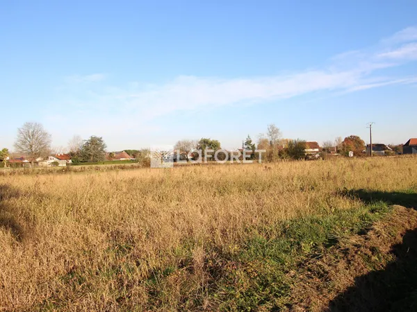 Terrain 2006 m²