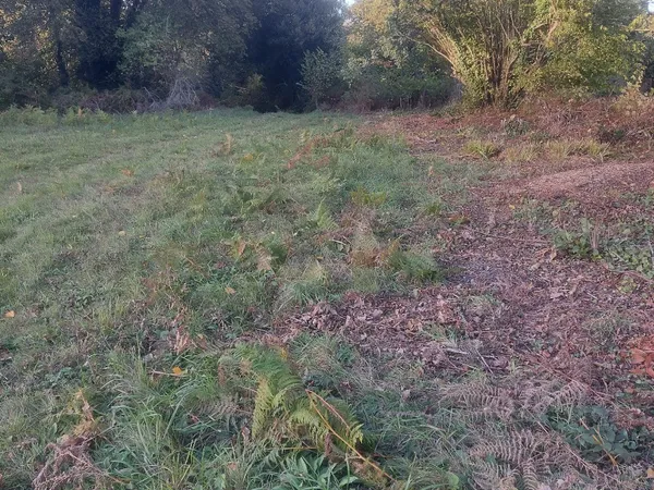 Vends terrain