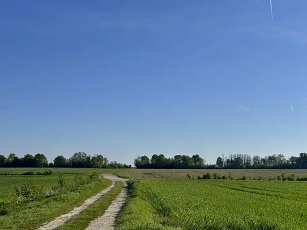 Terrain constructible 294 m²