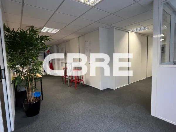 Bureau 230 m²