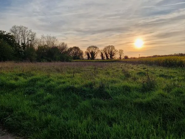 Terrain a bâtir
