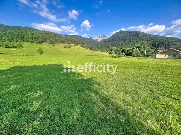 Terrain 16205 m²