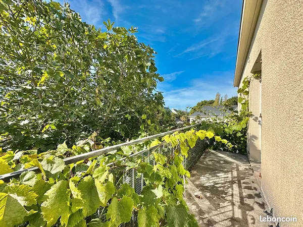 Appartement 2 pièces 50 m²