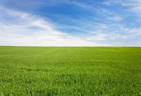 Pré agricole, prairie