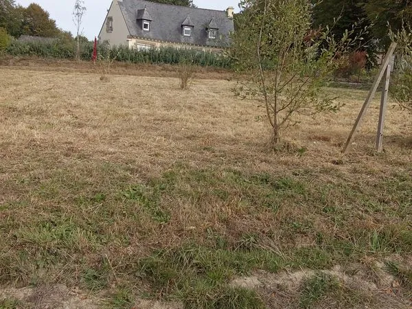 Vente d un terrain