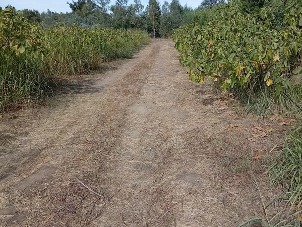 Terrain agricole forage + Canal