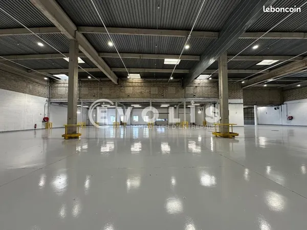Local bureaux 1 177 m²