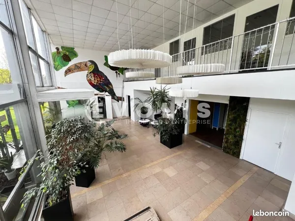 Local d'activité 982 m²