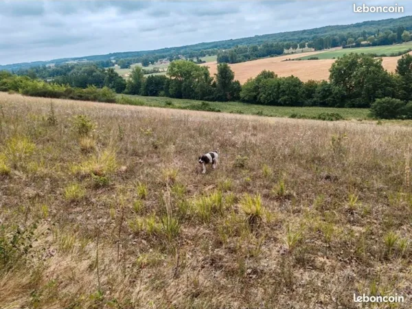 Terrain constructible avec vue panoramique