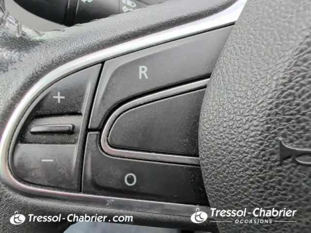 Renault Scenic tce 115 energy zen — photo 19