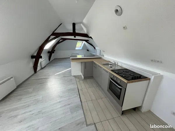 Appartement 2 pièces refait à neuf - Connerré centre