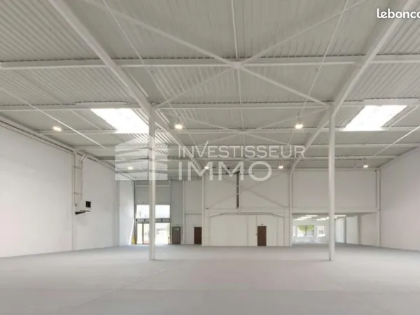 Local d'activité 1 117 m²