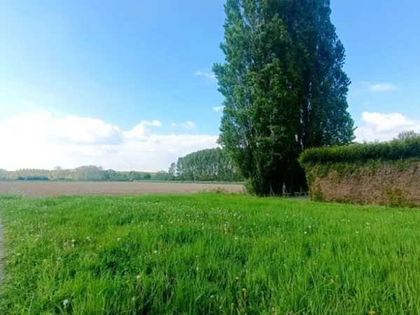 Terrain 1208 m²