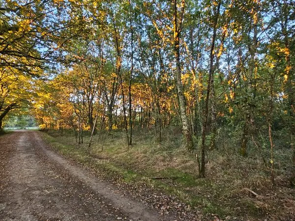 Terrain agricole