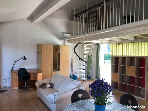 Loft 48 m2 centre Alsace