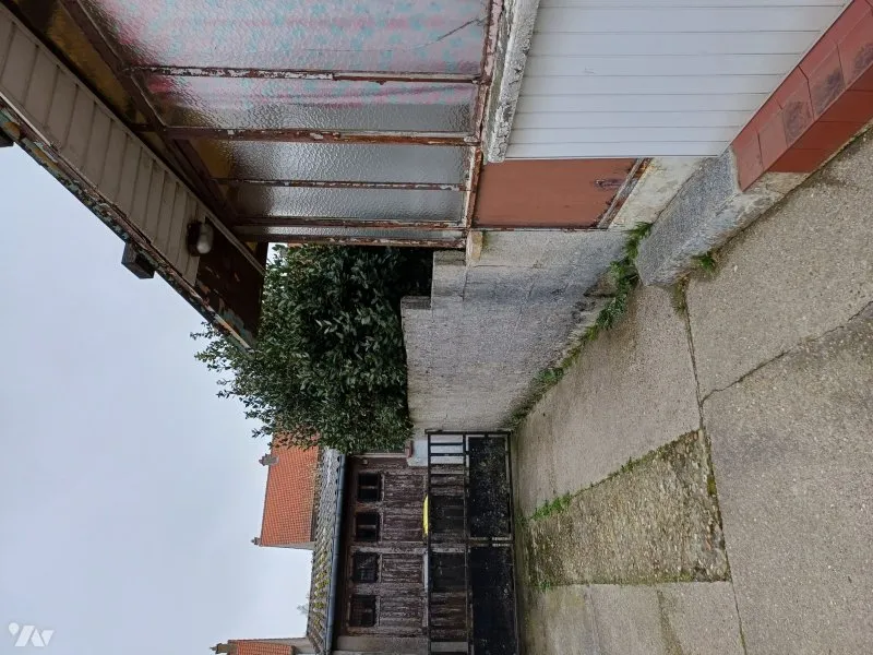 Photo 5