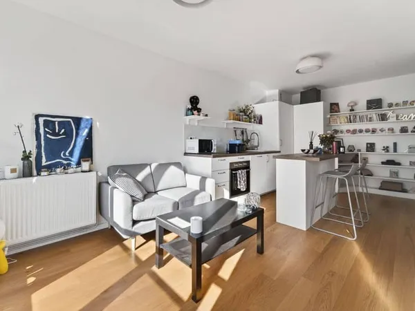 Appartement 1 pièce 30 m²
