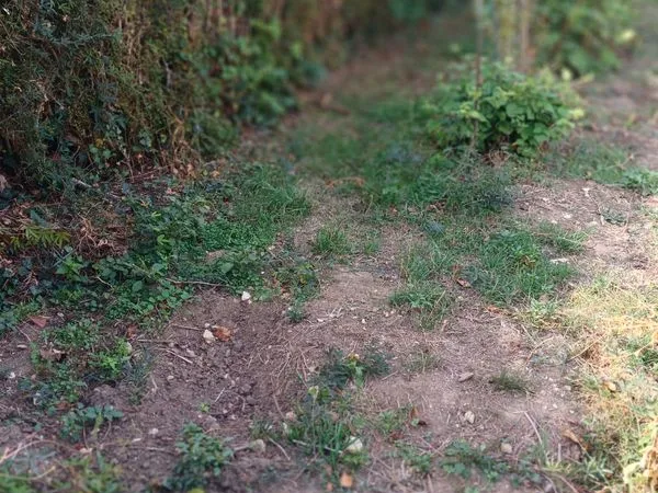 Terrain constructible de 660m avec bordure ruisseau au fond du terrain, longueur 42m par largeur 15 