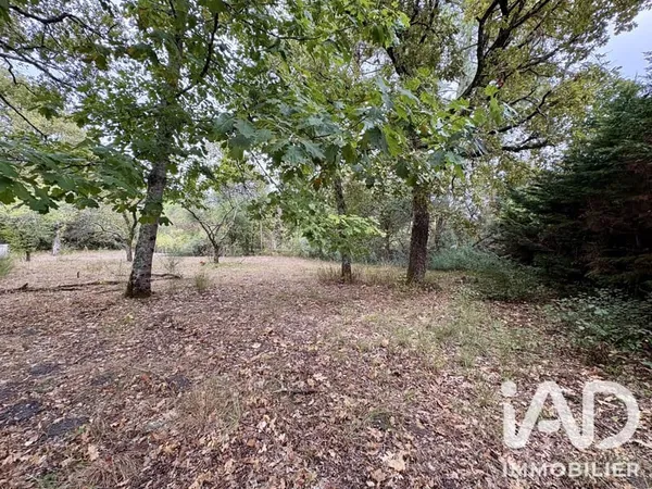Terrain 705 m²
