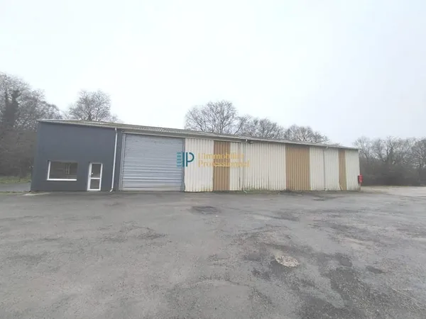 Local d'activité 458 m²