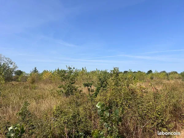 Terrain agricole