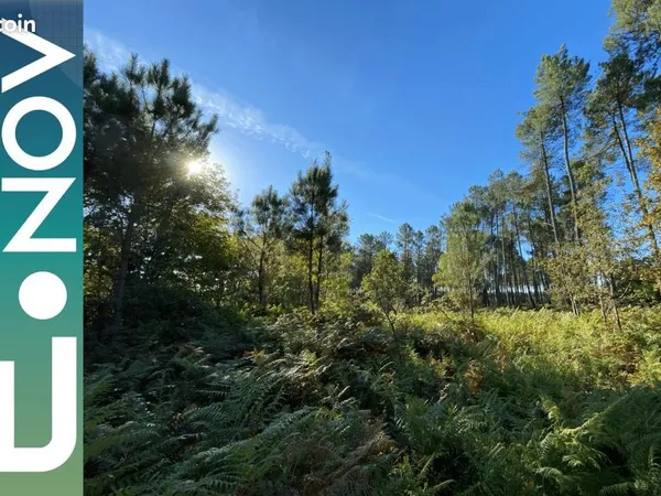 Terrain 988 m² Le Teich